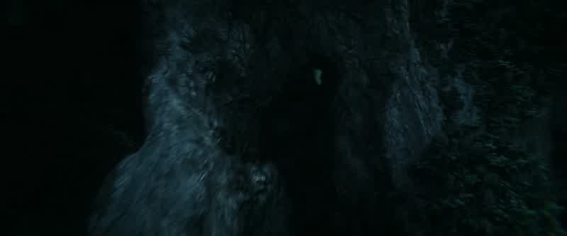 I know an enemy when I see it