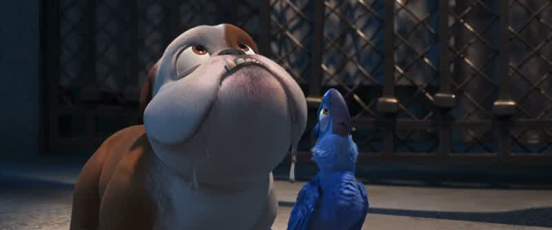 Yepl knowjust how you feelWatching them up theremakes you want to chase them and grab them in your mouthand bite their heads off huhl'm just kidding broYeah chasing them is plenty