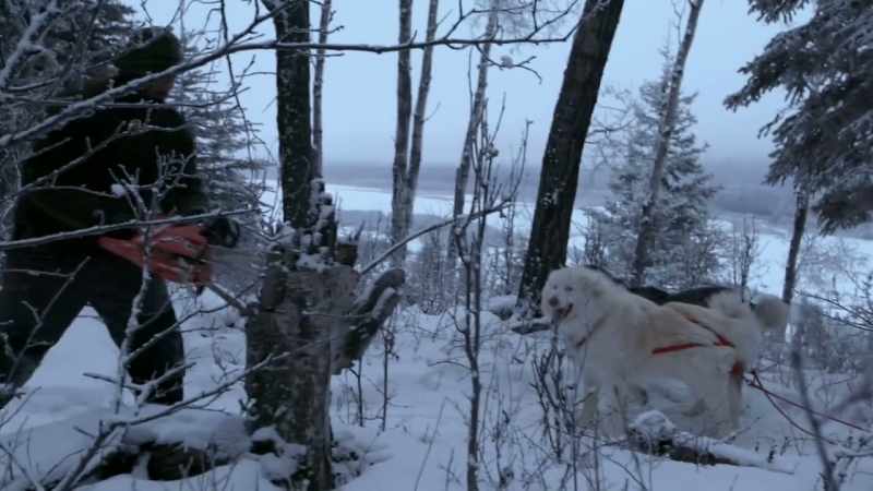 I know the breed was trained and honed for hundreds of