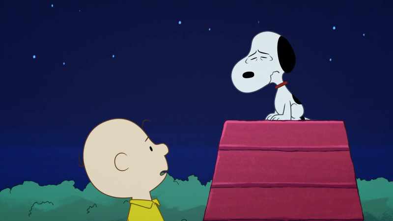 I know that wasn't what you wanted to hear, old pal, but keep looking up