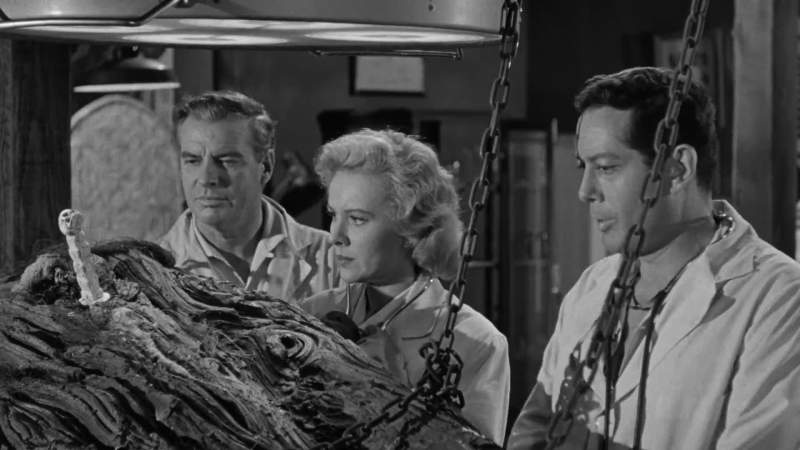 I know what why don't we psychoanalyze the monster