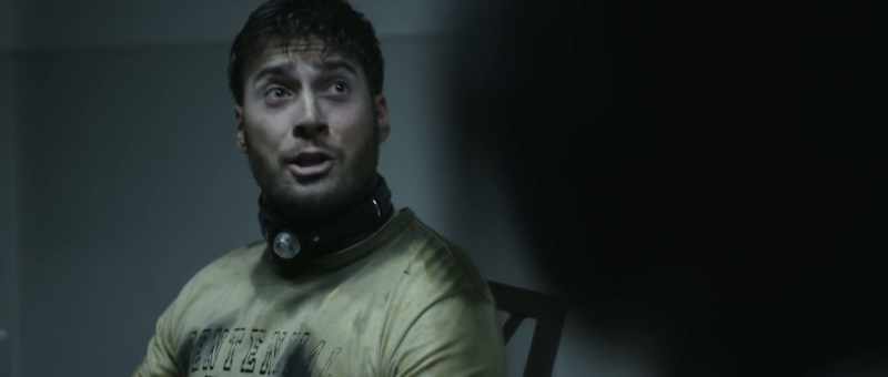 I know you're all fucking batshit