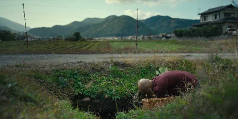 I learned how vegetables grow, how they're harvested