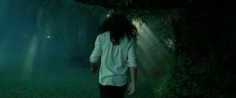 I leave you alone for two minutes, and the wolves descend