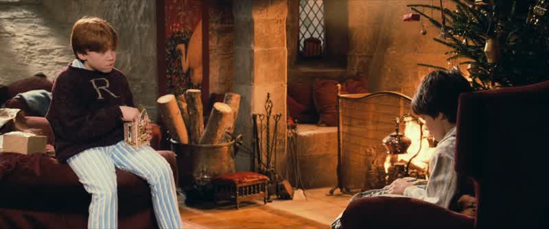 I bought him off an Irishman I lent him to Dumbledore to guardShouldn't have said that No more questions That's top secret