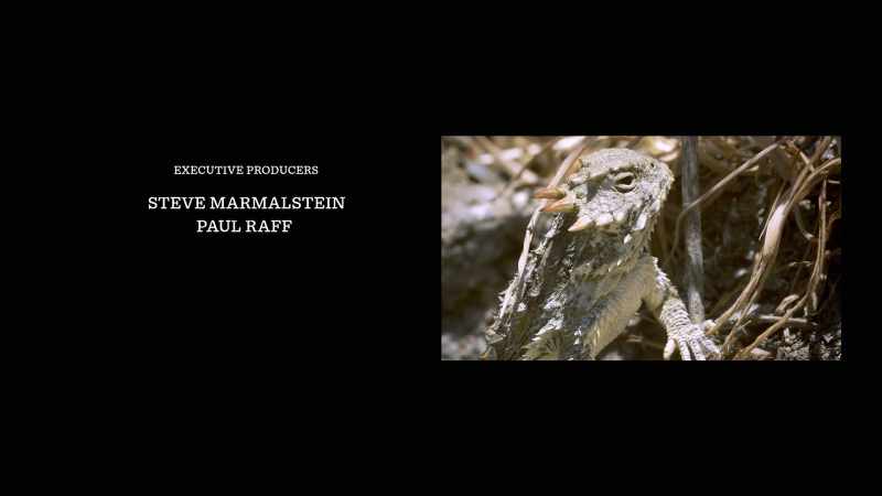 �� I like-ah the pangolin ♪