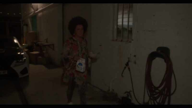 I like to feed my pussies, so at night I come out and feed them