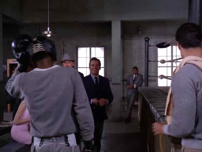 I like your style, Richy. I'm going to talk to your manager