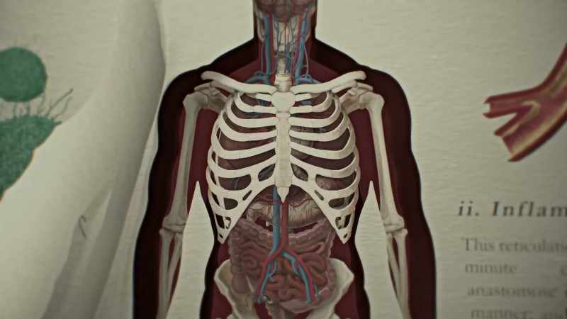 I like to think I look healthy on the outside
