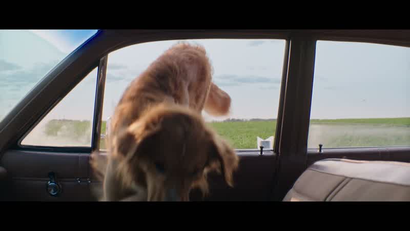 I like this new version of fetch