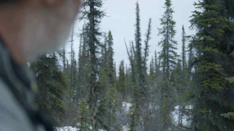 I listen for bull moose grunting