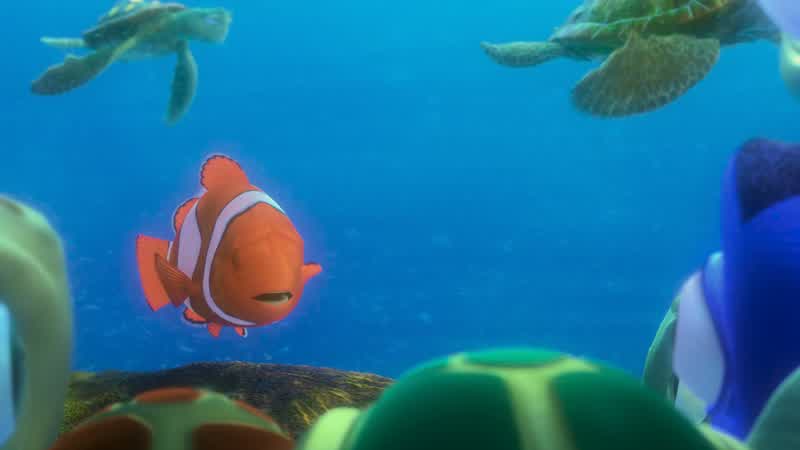 I live on this reef, a long way from here