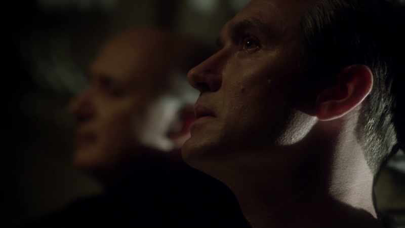 I looked at Cardinal Dussolier