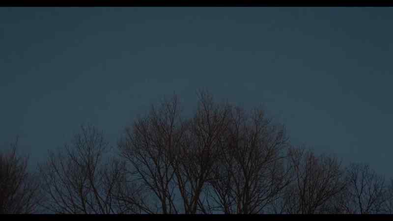 I was looking up at the sky one night