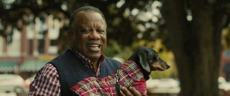I love your black wiener, Mr. Daniels