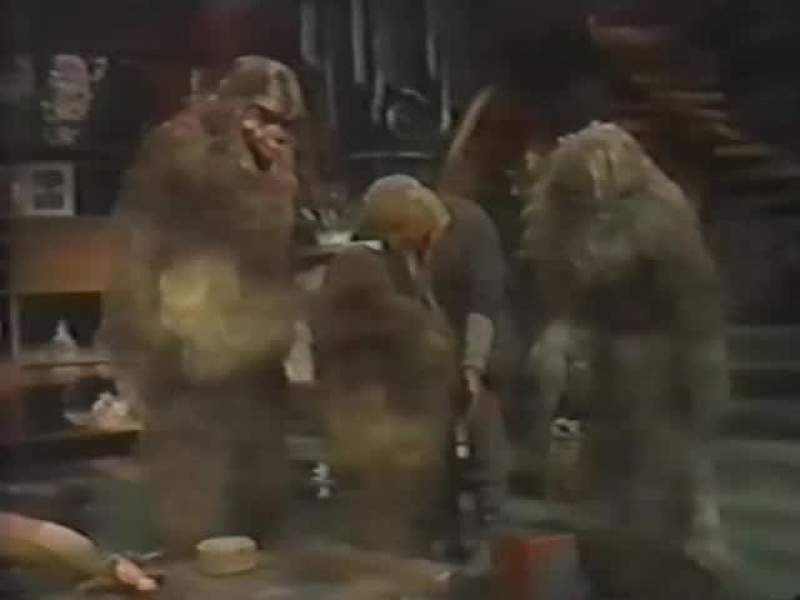I love to make a Wookiee happy