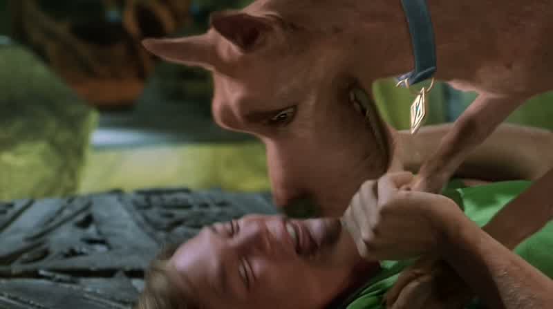 I love you, Shaggy