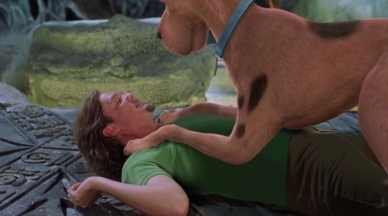 I love you, Shaggy