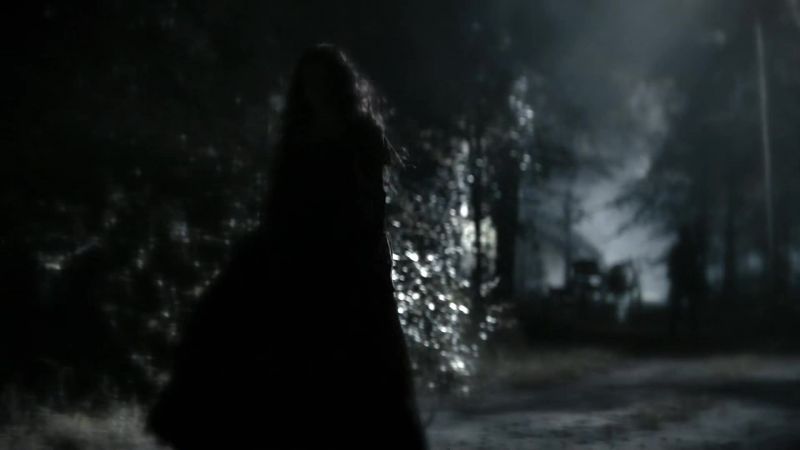 I love you, stefan