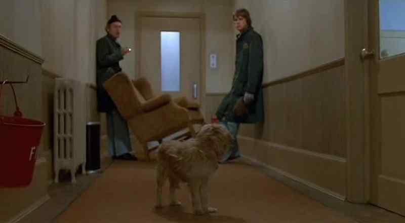 I loved that chair