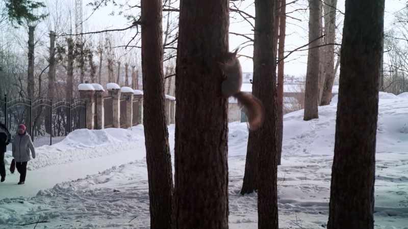 I mean, I've been flying my tail off over here, and not even a glance!