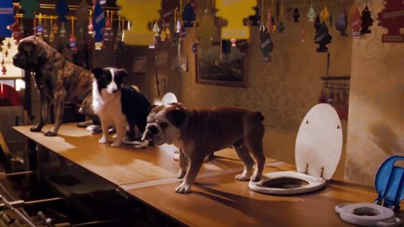 I mean if you look at it dogs have three basic needs