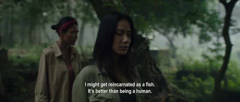 I might get reincarnated as a fish. It's better than being a human