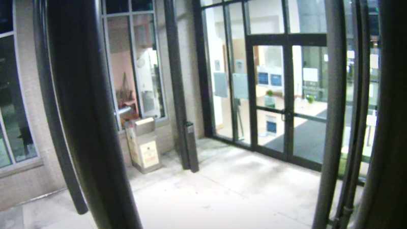 I monitored those foxes indiscriminately. I would move around to the different areas