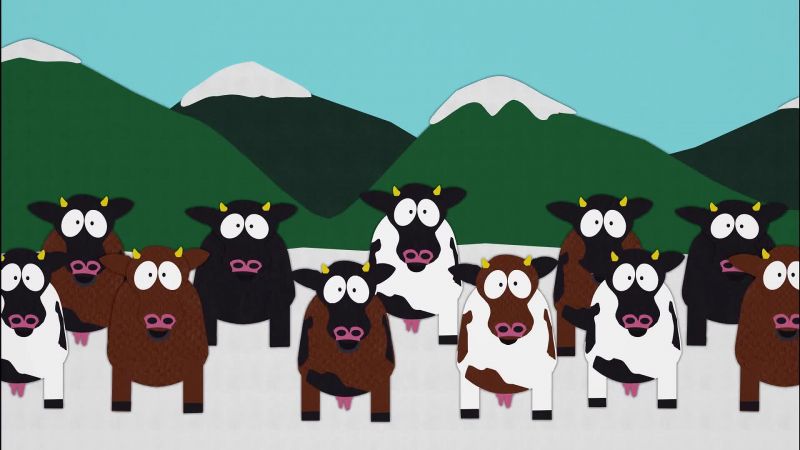 Moo, moo