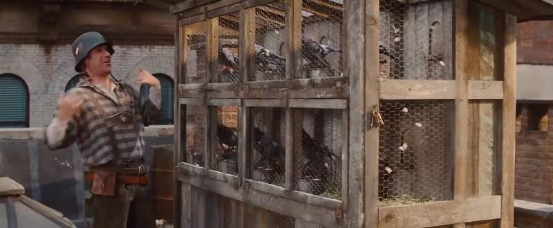 I must tell my birds