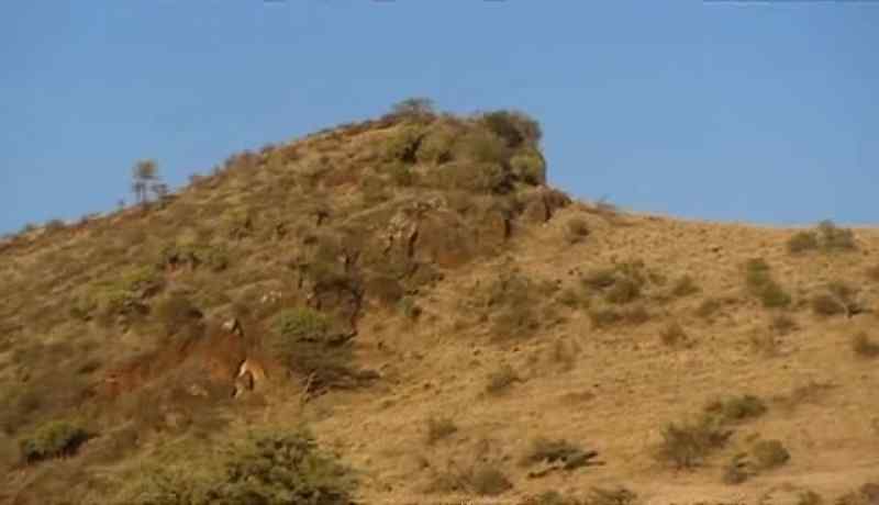 I need to find a way to climb this mountain