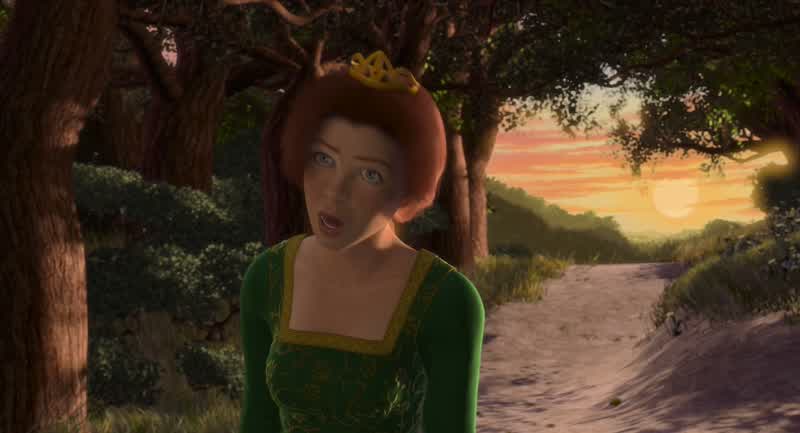 Shouldn't we stop to make camp No That would take longerWe can keep goingBut there are robbers in the woodsWhoa time out Shrek Camp is definitely something that sounds goodHey Come on I'm scarier than
