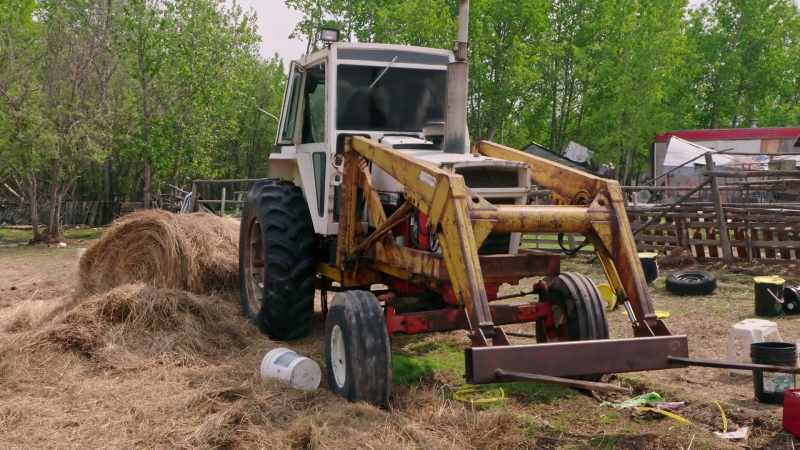 I need to get this tractor going. It just needs some TLC