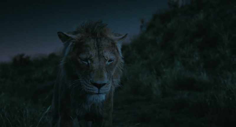 I need you to go with him, Mufasa