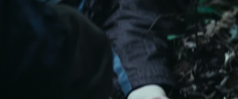 PEETA: I never even knew she was following me