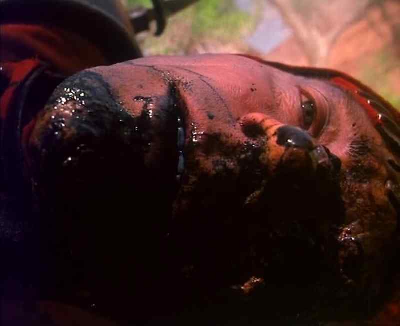 I never experienced the pain of birth