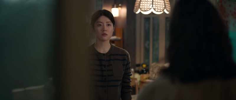 I never imagined Aunt March would leave Plumfield to Jo