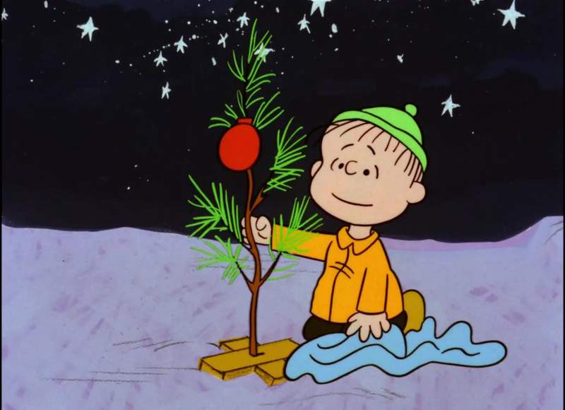 I never thought it was such a bad little tree