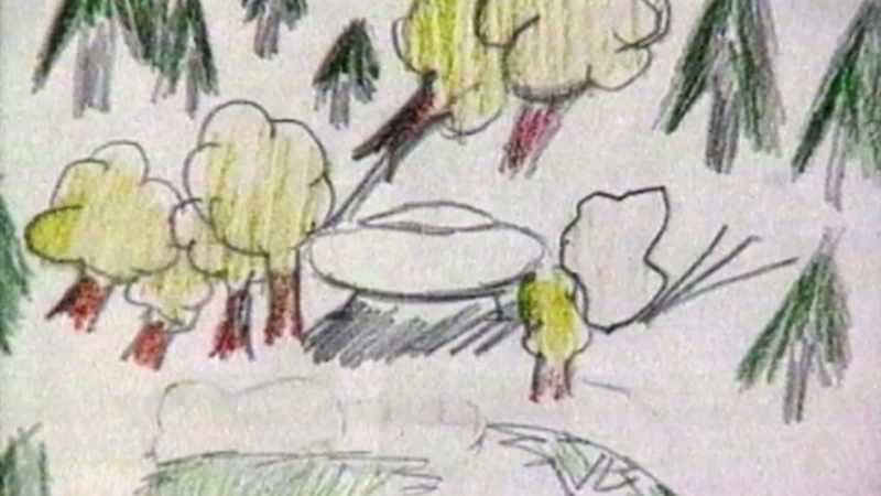 I noticed that there was a large shape amongst the trees