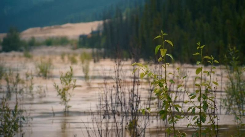 Now with water levels rising again