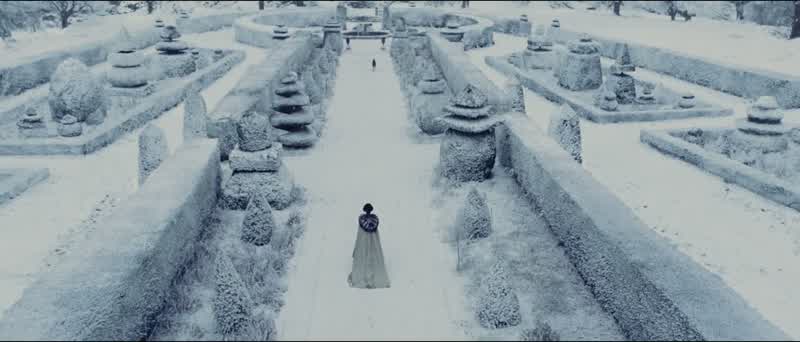 Once upon a time in deep wintera queen was admiring the falling snowwhen she saw a rose blooming in defiance of the coldReaching for it she pricked her fingerand three drops of blood fellAnd because