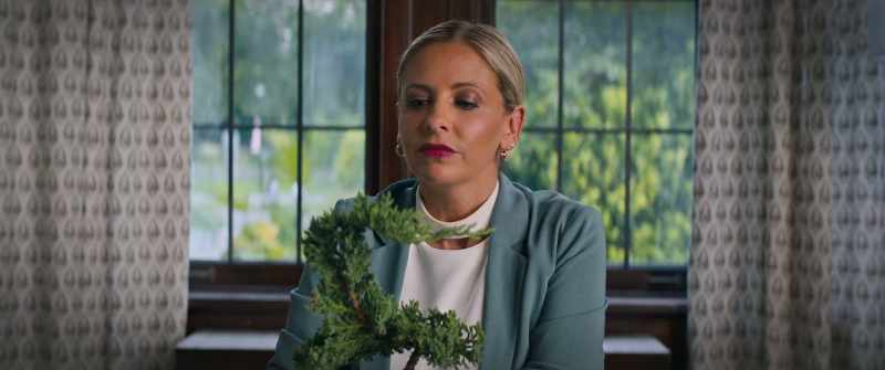 I only trim my bonsai when I'm especially vexed