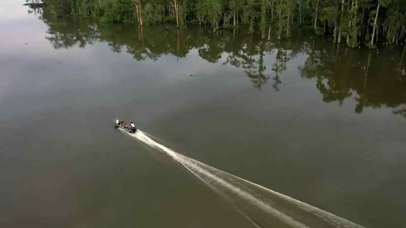 Over in Bayou Cache