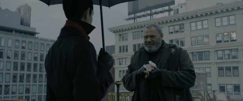 I presume you're here to discuss John Wick
