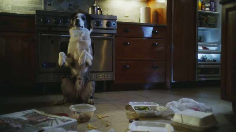 I promise I do this not for my appetite