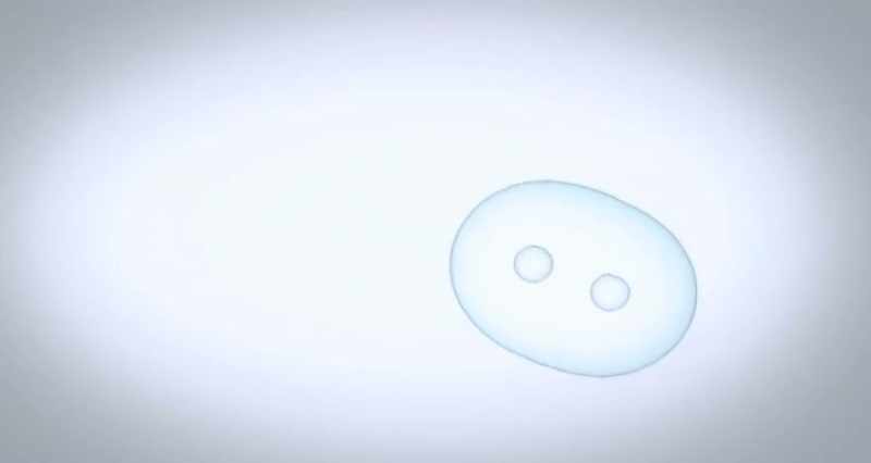 I put one stem cell in a culture by itself