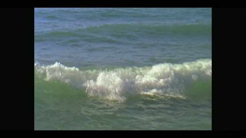 I realized the waves were just high enough