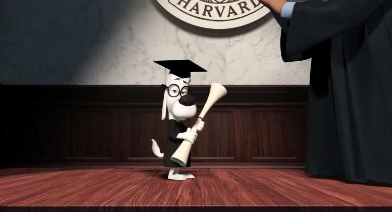 I received my degree at Harvard
