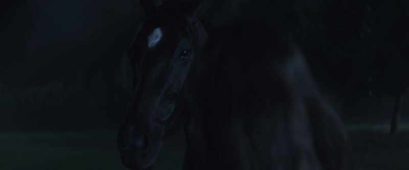 I recognized it because I still had nightmares about losing my family