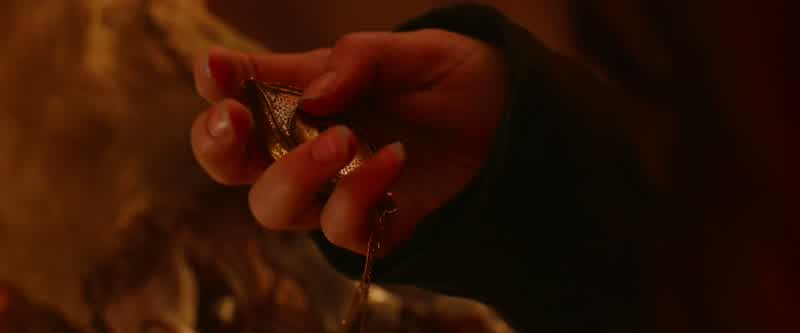 I release you from your promise, Hester Shaw